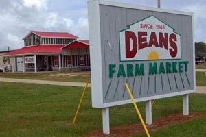 Deans Farm Market Wilson: Fresh, Local & More! | The Conscious Farmer | Sustainable Agriculture for a Healthier Planet
