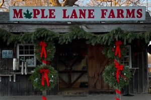Visit Maple Lane Farm Market: Fresh & Local | The Conscious Farmer | Sustainable Agriculture for a Healthier Planet