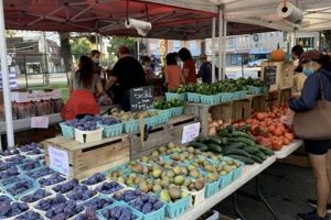 Discover Pike Central Farm Market: Your Local Gem | The Conscious Farmer | Sustainable Agriculture for a Healthier Planet