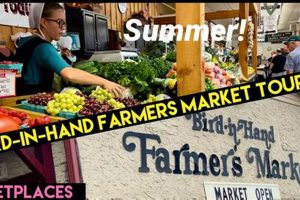 Your Local Hand Farm Market Guide: Fresh &amp; More! | The Conscious Farmer | Sustainable Agriculture for a Healthier Planet