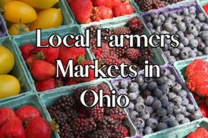 Explore Ohio Farm Markets: Your Local Food Guide | The Conscious Farmer | Sustainable Agriculture for a Healthier Planet