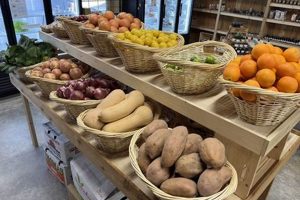 Discover: Wylie Urban Farm & Market's Fresh Finds | The Conscious Farmer | Sustainable Agriculture for a Healthier Planet