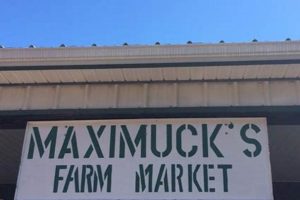 Visit Maximucks Farm Market | Local & Fresh Deals! | The Conscious Farmer | Sustainable Agriculture for a Healthier Planet