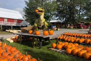 Visit Ritter's Farm Market: Fresh & Local! | The Conscious Farmer | Sustainable Agriculture for a Healthier Planet