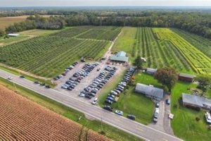 Your Guide to Baker Farm Market & U-Pick Near You | The Conscious Farmer | Sustainable Agriculture for a Healthier Planet