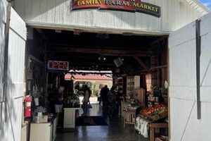 Visit Garver Farm Market Today! Local & Fresh | The Conscious Farmer | Sustainable Agriculture for a Healthier Planet