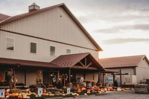 Visit West Oaks Farm Market on Middle Rd, Winchester VA Today! | The Conscious Farmer | Sustainable Agriculture for a Healthier Planet