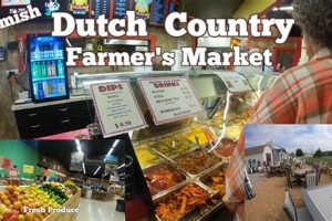 Your Guide: Dutch Farm Market Finds Near You | The Conscious Farmer | Sustainable Agriculture for a Healthier Planet