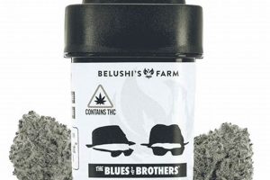 Investing in Belushi Farms: Stock Market Outlook & Guide | The Conscious Farmer | Sustainable Agriculture for a Healthier Planet