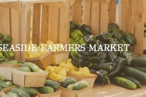 Discover Fresh Seaside Farm Market Delights Near You | The Conscious Farmer | Sustainable Agriculture for a Healthier Planet