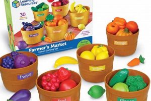 Fun with Learning Resources Farmer's Market Toys &amp; Games! | The Conscious Farmer | Sustainable Agriculture for a Healthier Planet