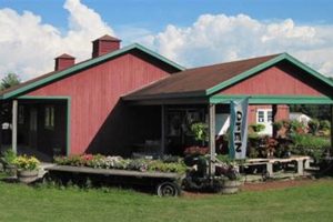 Visit Adams Farm Market Williston VT: Fresh & Local! | The Conscious Farmer | Sustainable Agriculture for a Healthier Planet