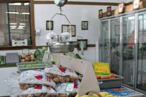 Visit Holden Brothers Farm Market in Shallotte, NC: Fresh & Local! | The Conscious Farmer | Sustainable Agriculture for a Healthier Planet