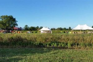 Visit Hillsborough Farm Country Market: Your Local Choice! | The Conscious Farmer | Sustainable Agriculture for a Healthier Planet