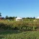 Visit Hillsborough Farm Country Market: Your Local Choice! | The Conscious Farmer | Sustainable Agriculture for a Healthier Planet