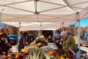 Your Guide to Wolfeboro Farmer's Market Treasures! | The Conscious Farmer | Sustainable Agriculture for a Healthier Planet