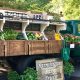 Grow Your Market: Market Gardening & Truck Farming Tips | The Conscious Farmer | Sustainable Agriculture for a Healthier Planet