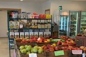 Shop Local: Oyler's Organic Farms & Market Delivers! | The Conscious Farmer | Sustainable Agriculture for a Healthier Planet