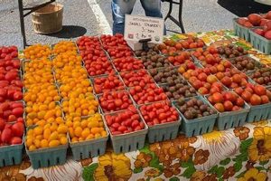Find Local Farm Markets in NJ Near You [Guide] | The Conscious Farmer | Sustainable Agriculture for a Healthier Planet