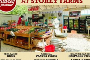 Visit The Market at Storey Farms: Local & Fresh Finds! | The Conscious Farmer | Sustainable Agriculture for a Healthier Planet