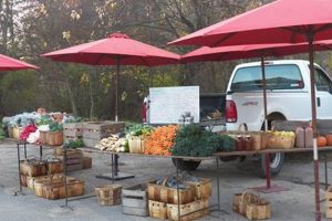 Your Guide: Greensburg Farm Market Finds & More! | The Conscious Farmer | Sustainable Agriculture for a Healthier Planet