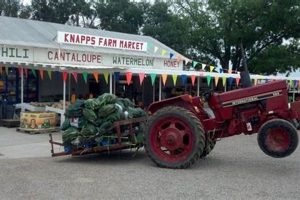Your Guide to Knapp's Farm Market | Fresh & Local! | The Conscious Farmer | Sustainable Agriculture for a Healthier Planet