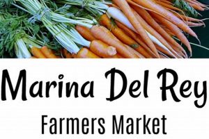 Visit Marina del Rey Farmer's Market: Fresh & Local! | The Conscious Farmer | Sustainable Agriculture for a Healthier Planet