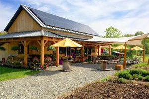 Shop Local: Clark's Farm Market Near You & Fresh Finds! | The Conscious Farmer | Sustainable Agriculture for a Healthier Planet