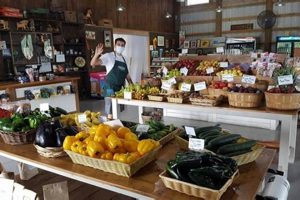 Shop Local: Palm City Farms Produce & Market - Fresh Now! | The Conscious Farmer | Sustainable Agriculture for a Healthier Planet