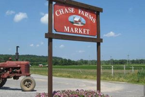 Your Guide: Chase Farm Market Finds & More | The Conscious Farmer | Sustainable Agriculture for a Healthier Planet