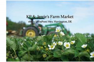 Visit KP Farm Market: Fresh, Local & Seasonal! | The Conscious Farmer | Sustainable Agriculture for a Healthier Planet