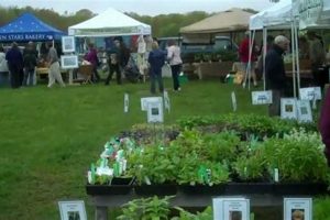 Visit Casey Farm RI Farmers Market: Local & Fresh | The Conscious Farmer | Sustainable Agriculture for a Healthier Planet