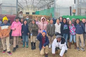 Visit Savickis Farm Market: Fresh & Local Goodness! | The Conscious Farmer | Sustainable Agriculture for a Healthier Planet
