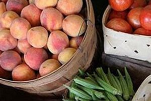 Discover Local: Farmer Brown's Market Near You! | The Conscious Farmer | Sustainable Agriculture for a Healthier Planet