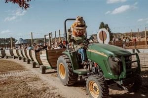 Visit Pine Haven Farm Market: Fresh & Local! | The Conscious Farmer | Sustainable Agriculture for a Healthier Planet