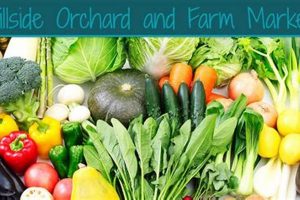 Visit Our Hillside Orchard & Farm Market Today! | The Conscious Farmer | Sustainable Agriculture for a Healthier Planet