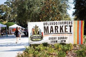 Shop Local: Orlando Farmer's Market Guide + Tips | The Conscious Farmer | Sustainable Agriculture for a Healthier Planet