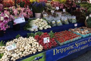 Visit Your Local Farmer's Market & Garden Center Today! | The Conscious Farmer | Sustainable Agriculture for a Healthier Planet