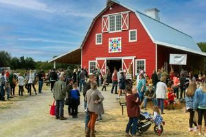 Your Guide to Bird's Farm Market: Fresh & Local Finds | The Conscious Farmer | Sustainable Agriculture for a Healthier Planet