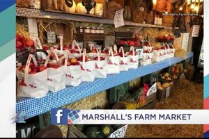 Visit Marshalls Farm Market: Fresh & Local Goodness! The Conscious Farmer | Sustainable Agriculture for a Healthier Planet Visit Marshalls Farm Market: Fresh & Local Goodness! | The Conscious Farmer | Sustainable Agriculture for a Healthier Planet