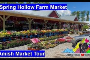 Local Spring Hollow Farm Market: Fresh & More! | The Conscious Farmer | Sustainable Agriculture for a Healthier Planet