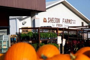 Visit Shelton's Farm Market Niles Michigan: Fresh & Local! | The Conscious Farmer | Sustainable Agriculture for a Healthier Planet