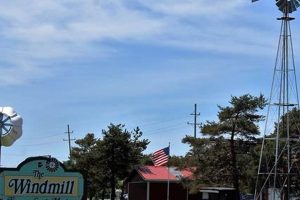 Visit NY's Windmill Farm & Craft Market: A Unique Day Trip! | The Conscious Farmer | Sustainable Agriculture for a Healthier Planet