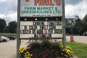 Visit Paul's Farm Market Today! [Fresh & Local] | The Conscious Farmer | Sustainable Agriculture for a Healthier Planet