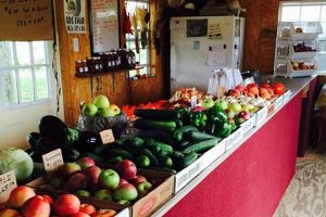 Local Stevens Farm Market: Fresh &amp; Seasonal | The Conscious Farmer | Sustainable Agriculture for a Healthier Planet