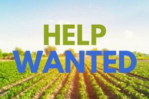 Local Farm Help Wanted Near Me: Find Farm Jobs Now! | The Conscious Farmer | Sustainable Agriculture for a Healthier Planet