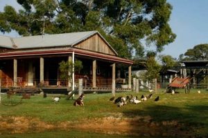 Find a Farm Stay Near Me: Your Rural Escape Awaits | The Conscious Farmer | Sustainable Agriculture for a Healthier Planet