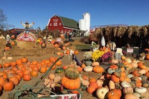 Find Local: Best Farms Near Me Today! | The Conscious Farmer | Sustainable Agriculture for a Healthier Planet