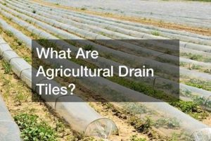 Local Farm Drainage Tile Pros: Contractors Near Me | The Conscious Farmer | Sustainable Agriculture for a Healthier Planet