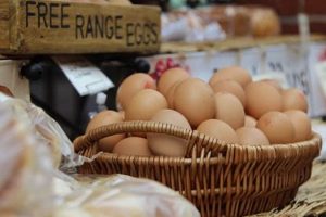 Buy Fresh Eggs: Farms Near Me That Sell Eggs Today! | The Conscious Farmer | Sustainable Agriculture for a Healthier Planet